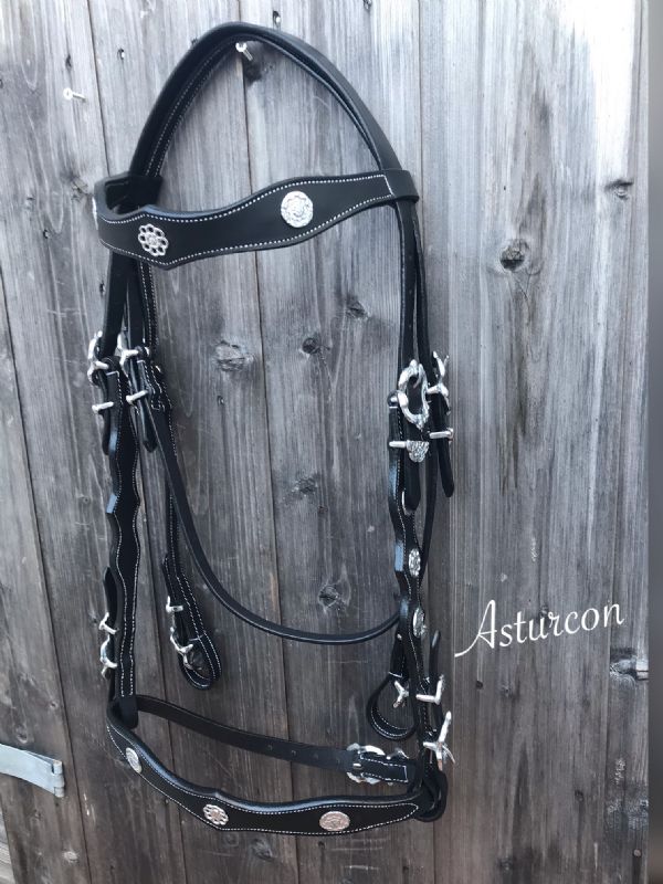 Zardan Portuguese Bridle